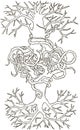 Two trees entwined roots. Hand-drawn illustration Royalty Free Stock Photo