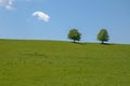 Two trees in a field with blue sky Royalty Free Stock Photo