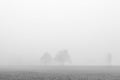 Two trees in fog Royalty Free Stock Photo