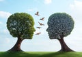 Two trees with human like faces birds flying blue sky Royalty Free Stock Photo
