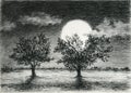 Two trees in the moonlight