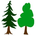 Two trees vector coniferous and deciduous tree on white