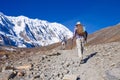 Two trekkers running on the road against Tilicho Royalty Free Stock Photo