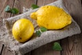 Two trendy ugly organic large lemons on natural textiles. Mint leaves all around. Macro Royalty Free Stock Photo