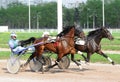 Two trotter on the move at speeds