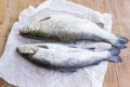 Two Trouts on the Table Royalty Free Stock Photo