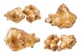 Two tubers of jerusalem artichoke sunroot cutout Royalty Free Stock Photo