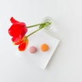 Two tulip flowers and two macaroon cookies. Royalty Free Stock Photo