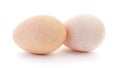 Two turkey eggs. Royalty Free Stock Photo