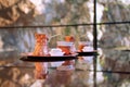 Two turkish coffee in copper cezve with piece of lokum on the glass table