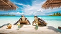 Two turtles on beautiful beach with white sand, turquoise ocean, blue sky with clouds and palm tree above water on sunny Royalty Free Stock Photo