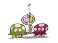 Two turtles in love Royalty Free Stock Photo