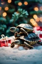 Two Adorable Baby Turtles Stacked on Snow Near Christmas Lights and Gifts Royalty Free Stock Photo