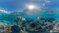 Two turtles swimming in a coral reef with the sun shining, AI Royalty Free Stock Photo