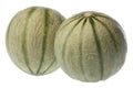 Two Tuscan Style Melons Royalty Free Stock Photo