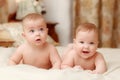 Two twin babies, girls Royalty Free Stock Photo