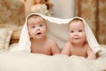 Two twin babies, girls Royalty Free Stock Photo