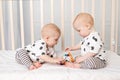 Two twin babies play in the crib, the concept of the relationship of children of brother and sister, the child takes the toy from Royalty Free Stock Photo