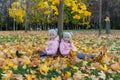 Two twin sisters sit under maple tree on on a carpet of yellow maple leaves Royalty Free Stock Photo