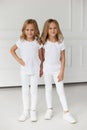 Two twin sisters in white clothes holding hands isolated on a white background. Vertical view Royalty Free Stock Photo