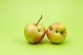 Two ugly apples with flaws on light green background. Selective focus, copy space. Concept - Food waste reduction. Using in Royalty Free Stock Photo