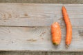 Two ugly carrots: thin crooked and small are lying on grey wooden planks on burlap.