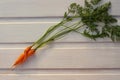 Two ugly carrots together on a white wooden background