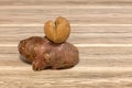 Two ugly funny potato on a brown wooden background with copy space. Concept - Unusual vegetables and fruits. Reduce amount of