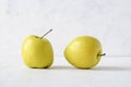Two ugly misshapen golden fresh apples Royalty Free Stock Photo