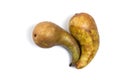 Two ripe pears. Isolated image on a white background Royalty Free Stock Photo