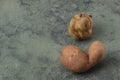 Two ugly potatoes on a dark background. Funny vegetables