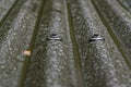 Two umbrella head screws hold down a piece of corrugated roofing iron.