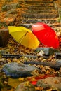 Two umbrellas on stone steps in autumn Park Royalty Free Stock Photo