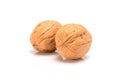 Two unbroken walnuts, close up macro, isolated on a white background Royalty Free Stock Photo