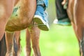 Two undergraduate student girls riding brown horses in the University