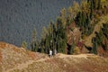 Two Unidentifiable backpackers hiking trekking down a trail walking with their pet dog on leash with large trees and mountain as Royalty Free Stock Photo