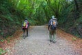 Two unknown pilgrims in motion on Camino de Santiago. Two tourists with backpacks unfocused in the forest. Pilgrimage concept. Royalty Free Stock Photo