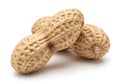 Two unopened peanuts isolated on white background Royalty Free Stock Photo