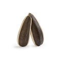 Two unpeeled seeds on a white background