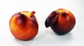 Two unusual shaped nectarine peaches isolated on white. Peach with a nose. Peaches freaks. unusual fruits. Red ripe nectarine