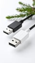 Two USB cables black and white near a green pine branch on a white background Royalty Free Stock Photo