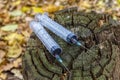 Two used disposable syringes on a rotten stump in the forest Royalty Free Stock Photo