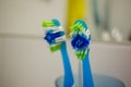 Two used toothbrushes Royalty Free Stock Photo