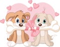 Two Valentine dogs Royalty Free Stock Photo