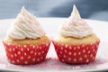 Two Vanilla Cupcakes Royalty Free Stock Photo