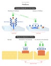 The Two Variables of Pressure Infographic Diagram