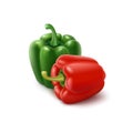 Two Vector Colored Green and Red Sweet Bulgarian Bell Peppers, Paprika on Background Royalty Free Stock Photo