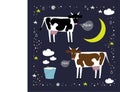 Two vector cows in simple style on a dark background. Milk in a bucket. Cow collection