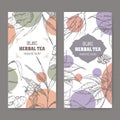 Two vector herbal tea labels with ginger and ginseng sketch. Royalty Free Stock Photo