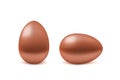 Two vector realistic bronze eggs Royalty Free Stock Photo